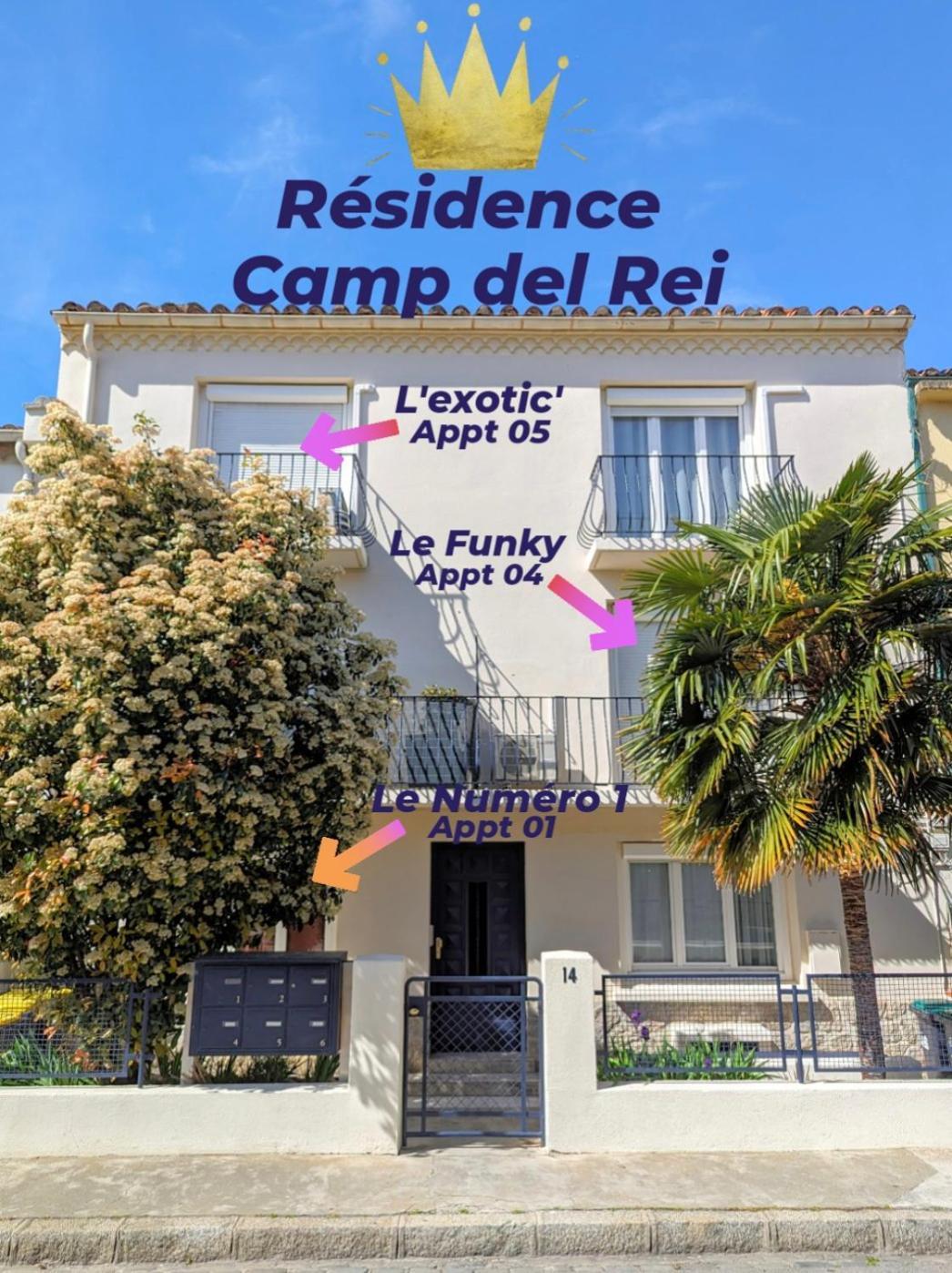 Appartement L'Exotic' 1 A 4 Voyageurs à Perpignan Extérieur photo